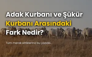 Adak Kurbanı ve Şükür Kurbanı Arasındaki Fark Nedir?