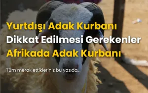Yurt Dışı Adak