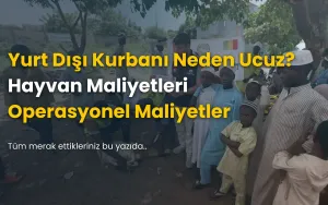 Yurt Dışı Kurban Bağışı Neden Ucuz?